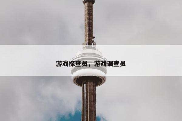 游戏探查员，游戏调查员