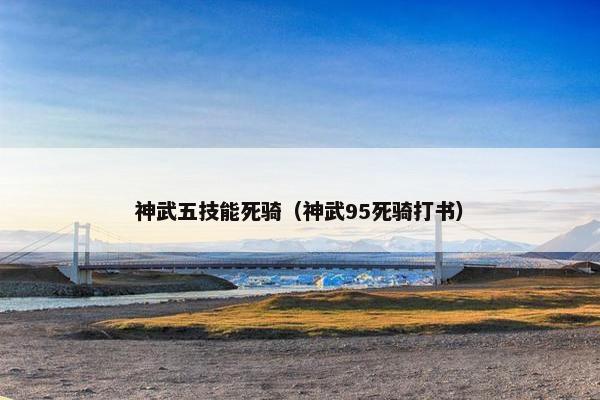 神武五技能死骑（神武95死骑打书）