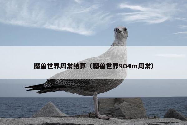 魔兽世界周常结算（魔兽世界904m周常）