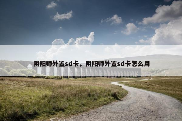 阴阳师外置sd卡，阴阳师外置sd卡怎么用