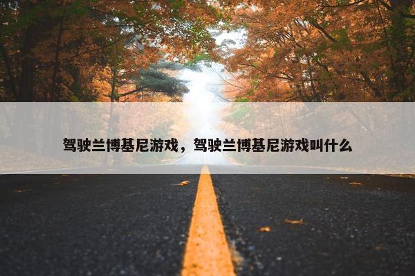驾驶兰博基尼游戏，驾驶兰博基尼游戏叫什么