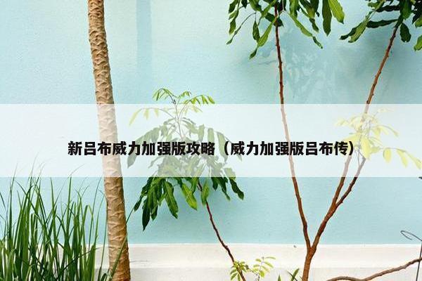 新吕布威力加强版攻略（威力加强版吕布传）