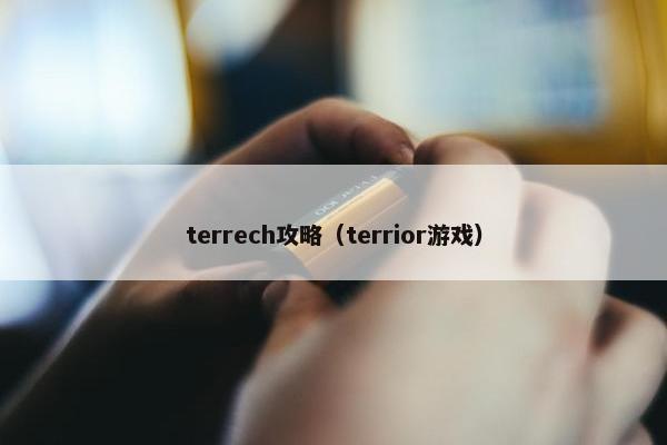 terrech攻略（terrior游戏）