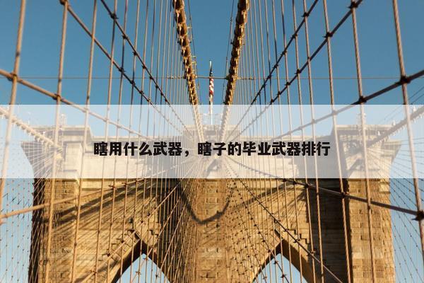 瞎用什么武器，瞎子的毕业武器排行