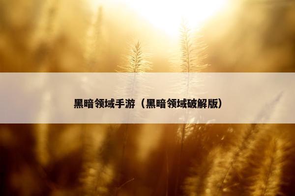 黑暗领域手游（黑暗领域破解版）