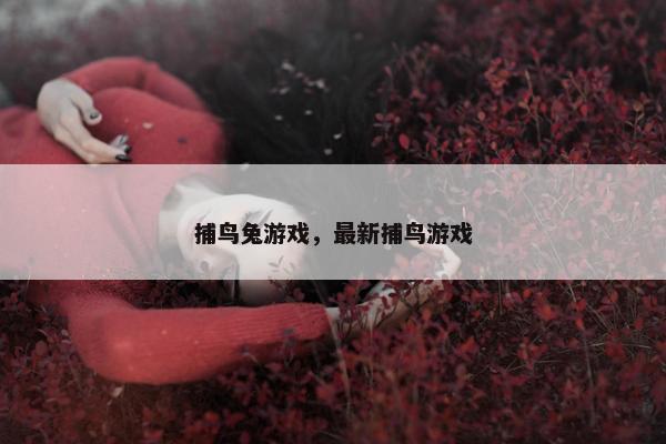 捕鸟兔游戏，最新捕鸟游戏