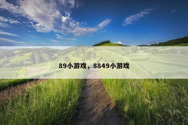 89小游戏，8849小游戏
