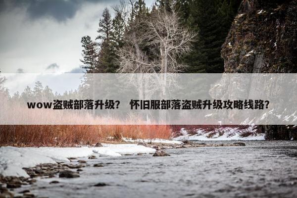 wow盗贼部落升级？ 怀旧服部落盗贼升级攻略线路？