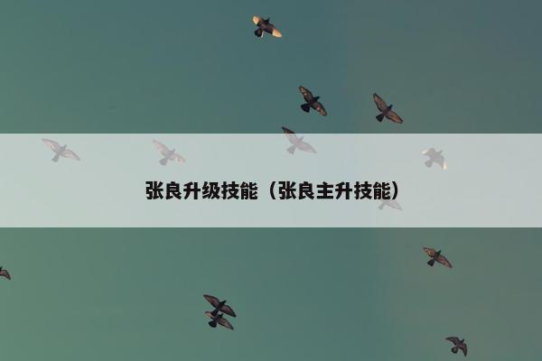 张良升级技能（张良主升技能）