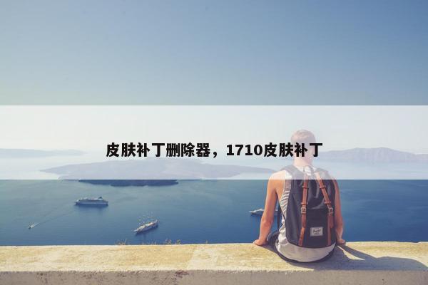 皮肤补丁删除器，1710皮肤补丁