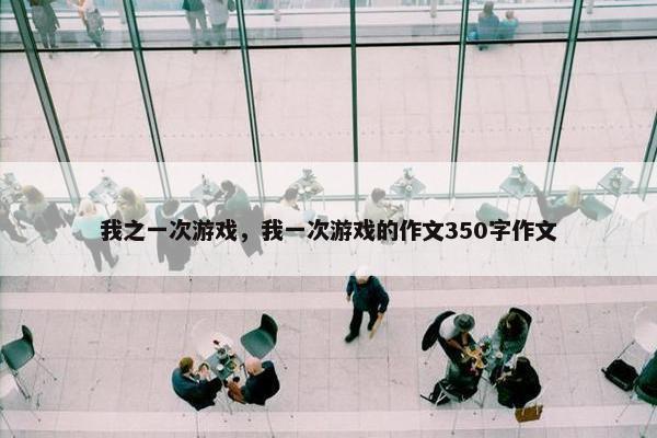 我之一次游戏，我一次游戏的作文350字作文
