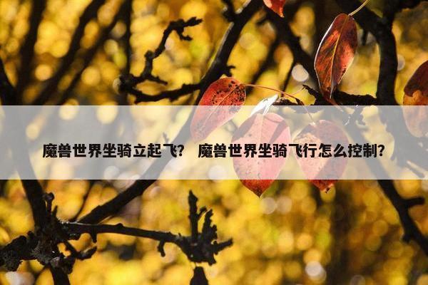 魔兽世界坐骑立起飞？ 魔兽世界坐骑飞行怎么控制？