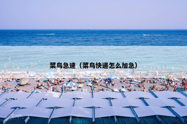 菜鸟急速（菜鸟快递怎么加急）