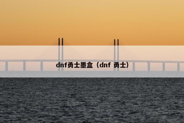 dnf勇士墨盒（dnf 勇士）