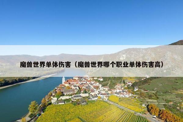 魔兽世界单体伤害（魔兽世界哪个职业单体伤害高）