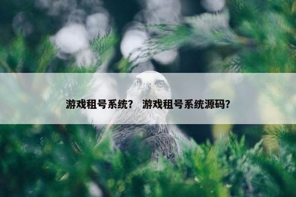 游戏租号系统？ 游戏租号系统源码？