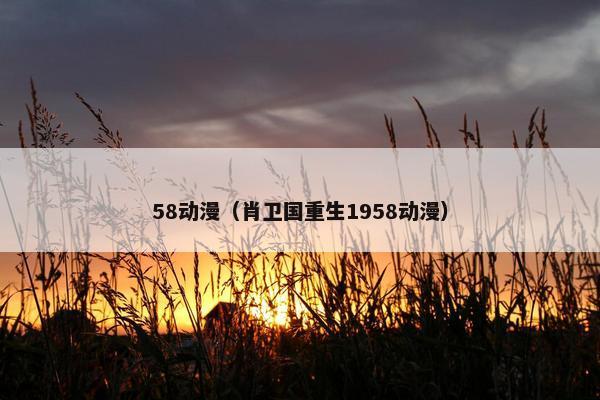 58动漫（肖卫国重生1958动漫）