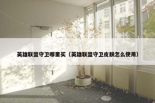 英雄联盟守卫哪里买（英雄联盟守卫皮肤怎么使用）