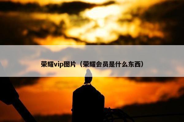 荣耀vip图片（荣耀会员是什么东西）