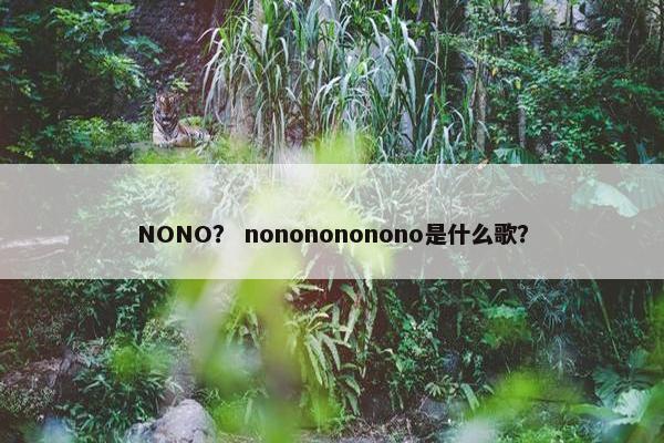 NONO？ nononononono是什么歌？