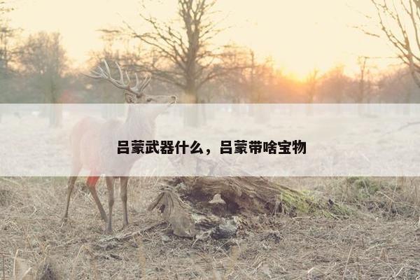 吕蒙武器什么，吕蒙带啥宝物
