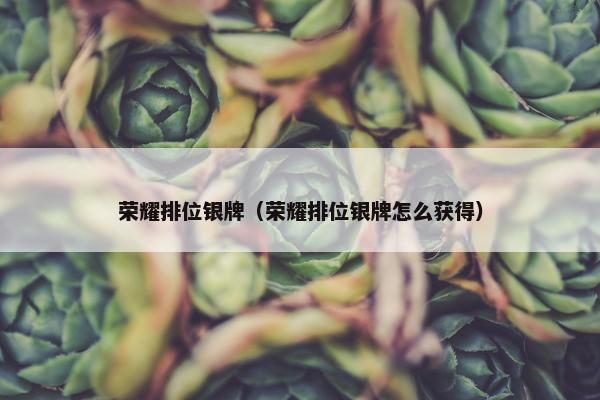 荣耀排位银牌（荣耀排位银牌怎么获得）