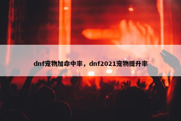 dnf宠物加命中率，dnf2021宠物提升率
