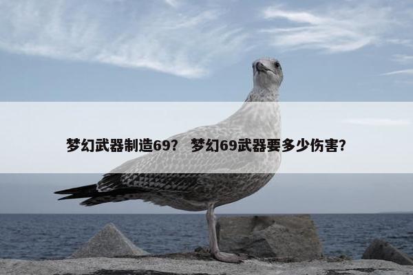 梦幻武器制造69？ 梦幻69武器要多少伤害？