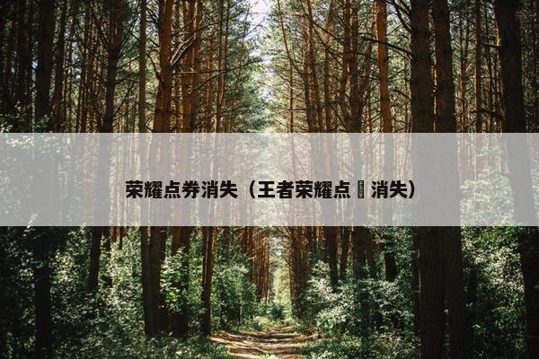 荣耀点券消失（王者荣耀点劵消失）