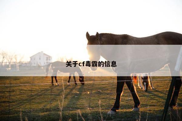 关于cf毒霸的信息