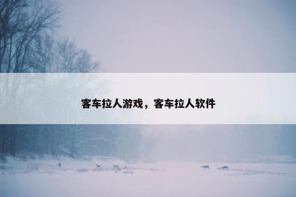 客车拉人游戏，客车拉人软件