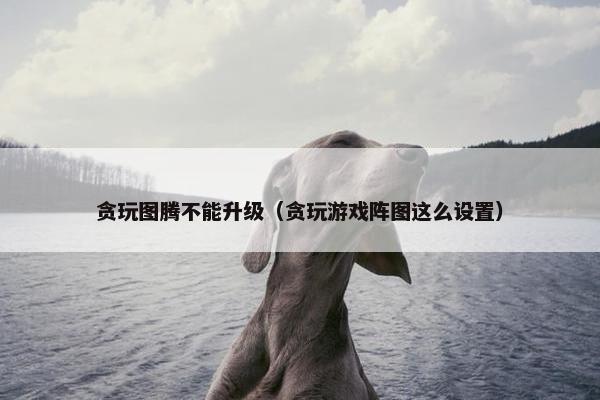 贪玩图腾不能升级（贪玩游戏阵图这么设置）