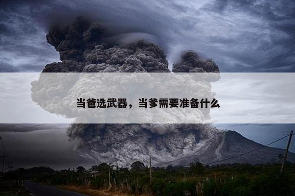 当爸选武器，当爹需要准备什么