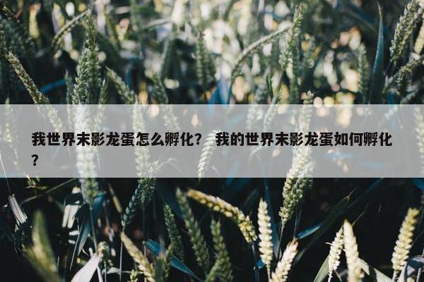 我世界末影龙蛋怎么孵化？ 我的世界末影龙蛋如何孵化？