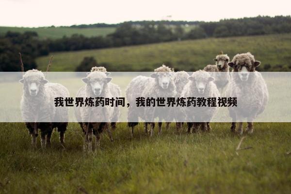 我世界炼药时间，我的世界炼药教程视频
