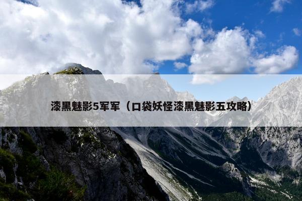 漆黑魅影5军军（口袋妖怪漆黑魅影五攻略）