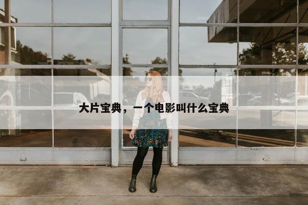 大片宝典，一个电影叫什么宝典