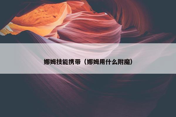 娜姆技能携带（娜姆用什么附魔）