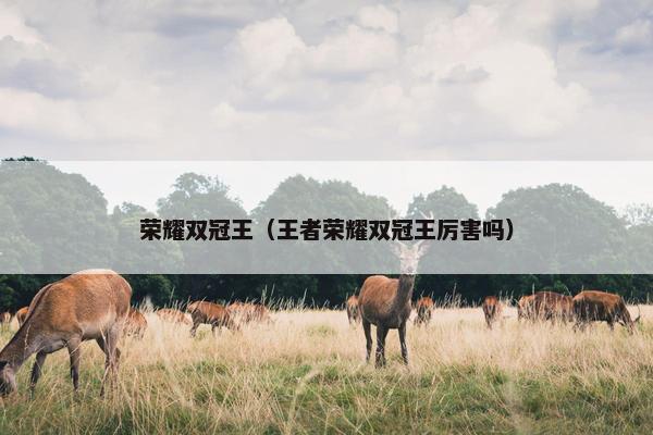 荣耀双冠王（王者荣耀双冠王厉害吗）