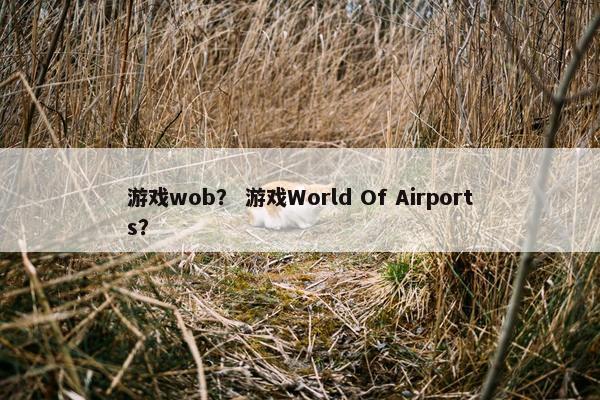 游戏wob？ 游戏World Of Airports？