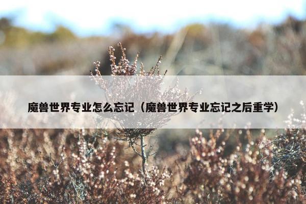 魔兽世界专业怎么忘记（魔兽世界专业忘记之后重学）