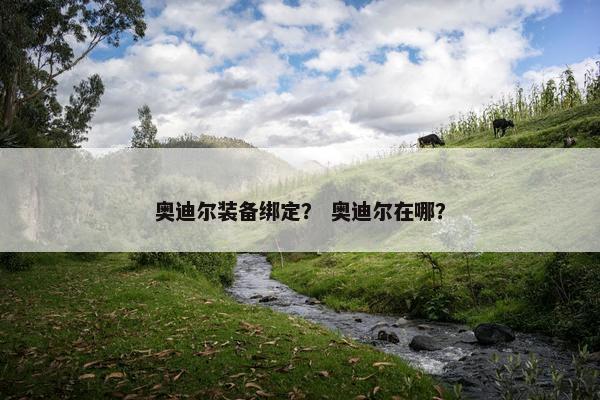 奥迪尔装备绑定？ 奥迪尔在哪？