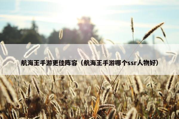 航海王手游更佳阵容（航海王手游哪个ssr人物好）