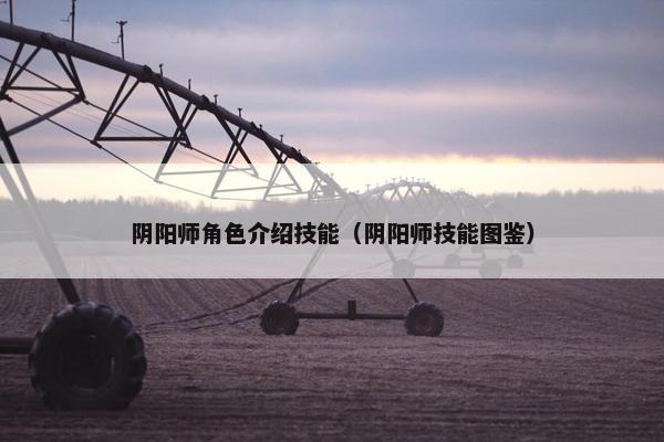 阴阳师角色介绍技能（阴阳师技能图鉴）