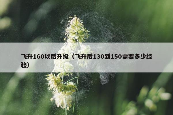 飞升160以后升级（飞升后130到150需要多少经验）