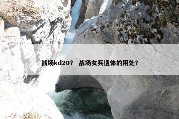 战场kd20？ 战场女兵遗体的用处？