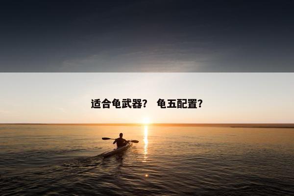 适合龟武器？ 龟五配置？