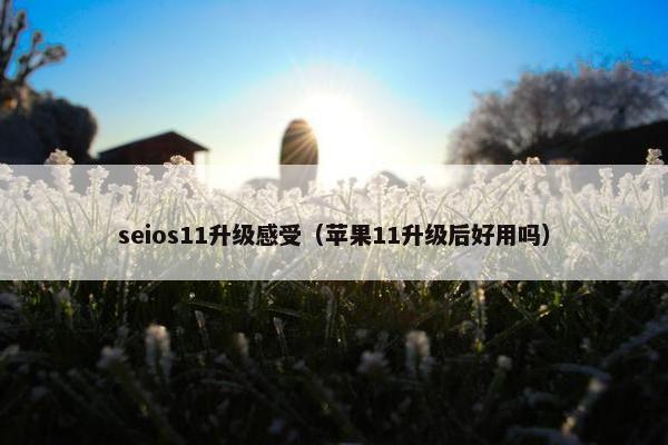 seios11升级感受（苹果11升级后好用吗）