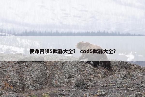 使命召唤5武器大全？ cod5武器大全？