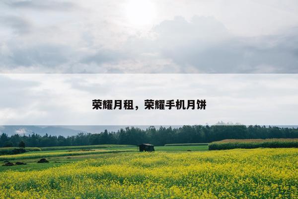 荣耀月租，荣耀手机月饼